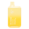 Pineapple Coconut Ice BC5000