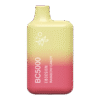 Rinbo Cloudd BC5000